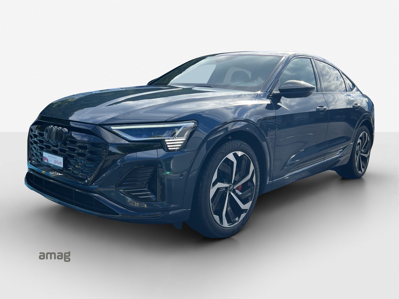 Brugt Audi Q8 