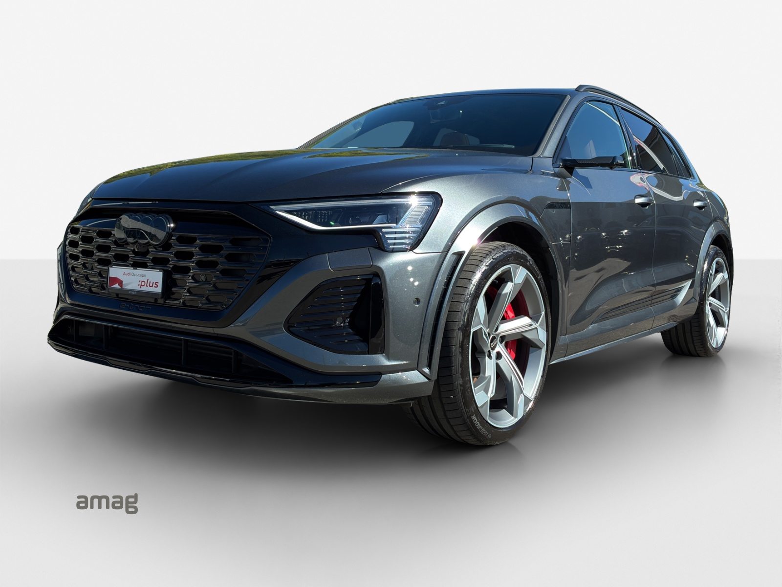 Brukt Audi Sq8 