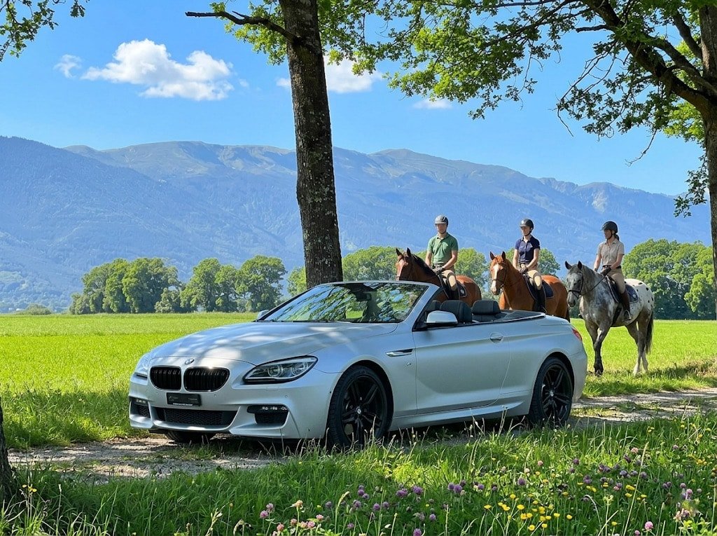 Brukt Bmw 6 Series 640i