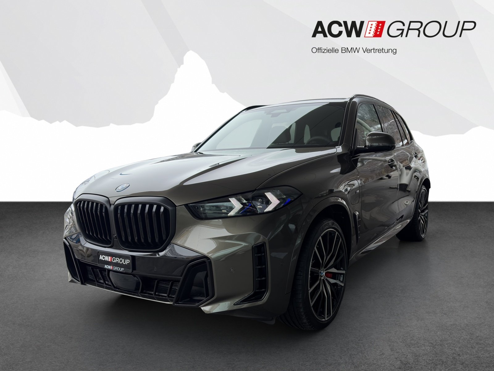 Brukt Bmw X5 