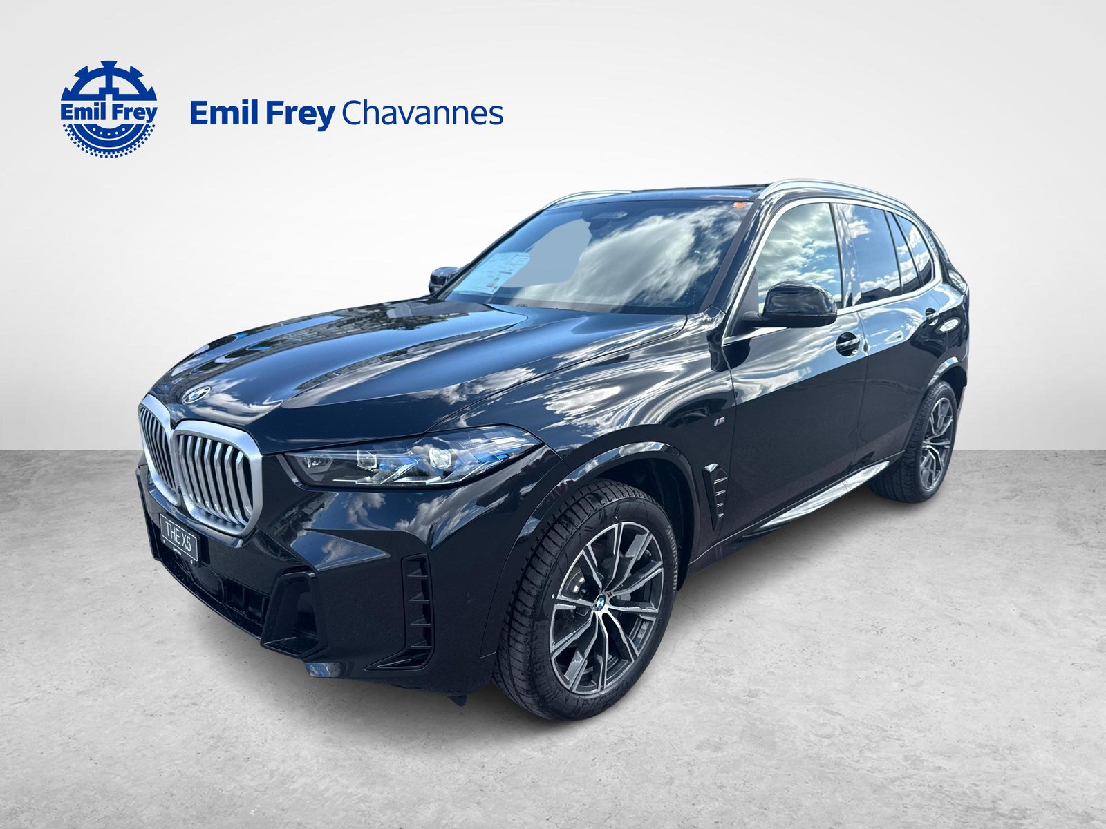 Brukt Bmw X5 