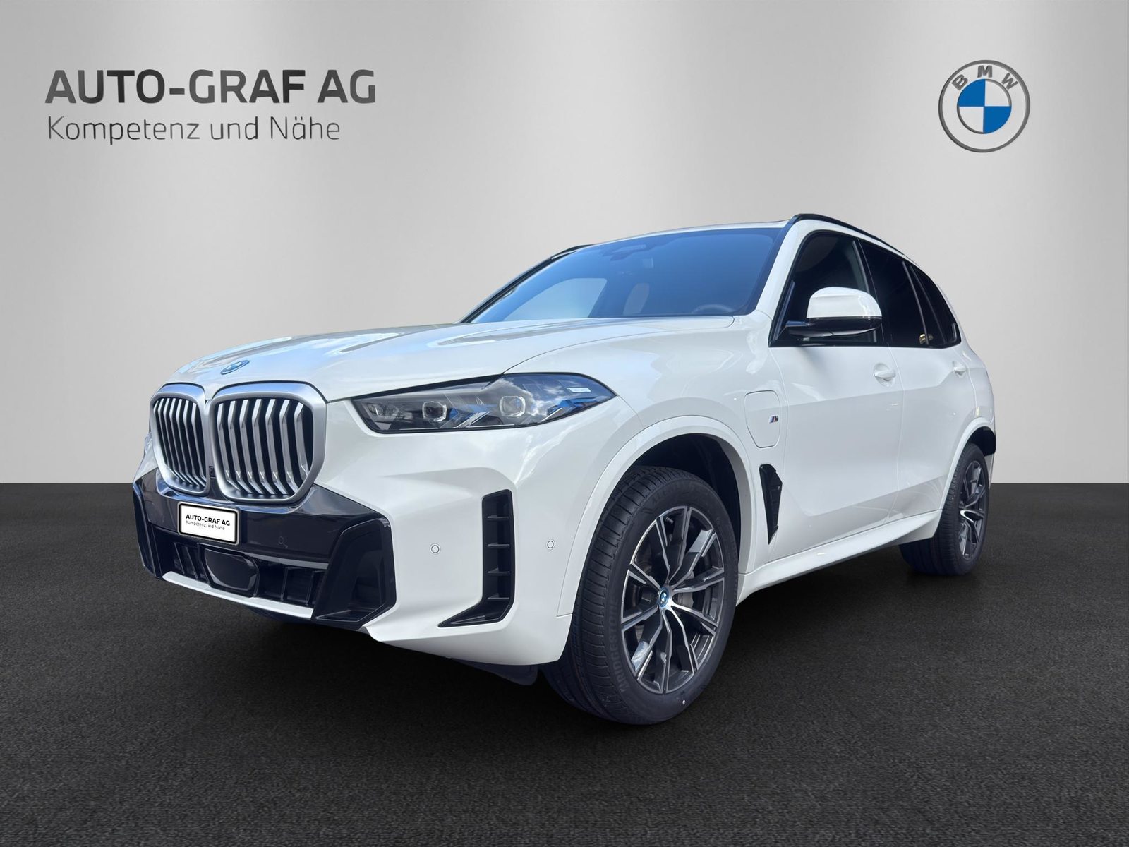 Brukt Bmw X5 