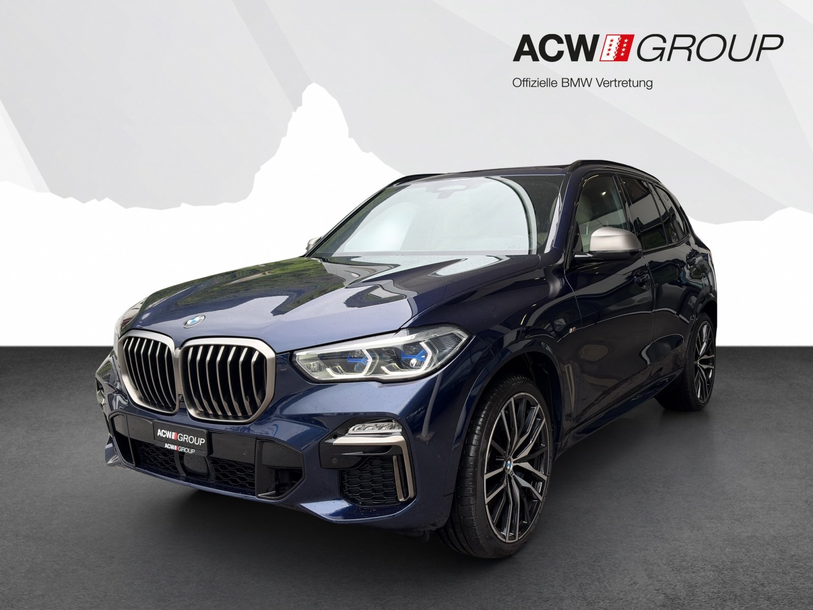 Brukt Bmw X5 M50i