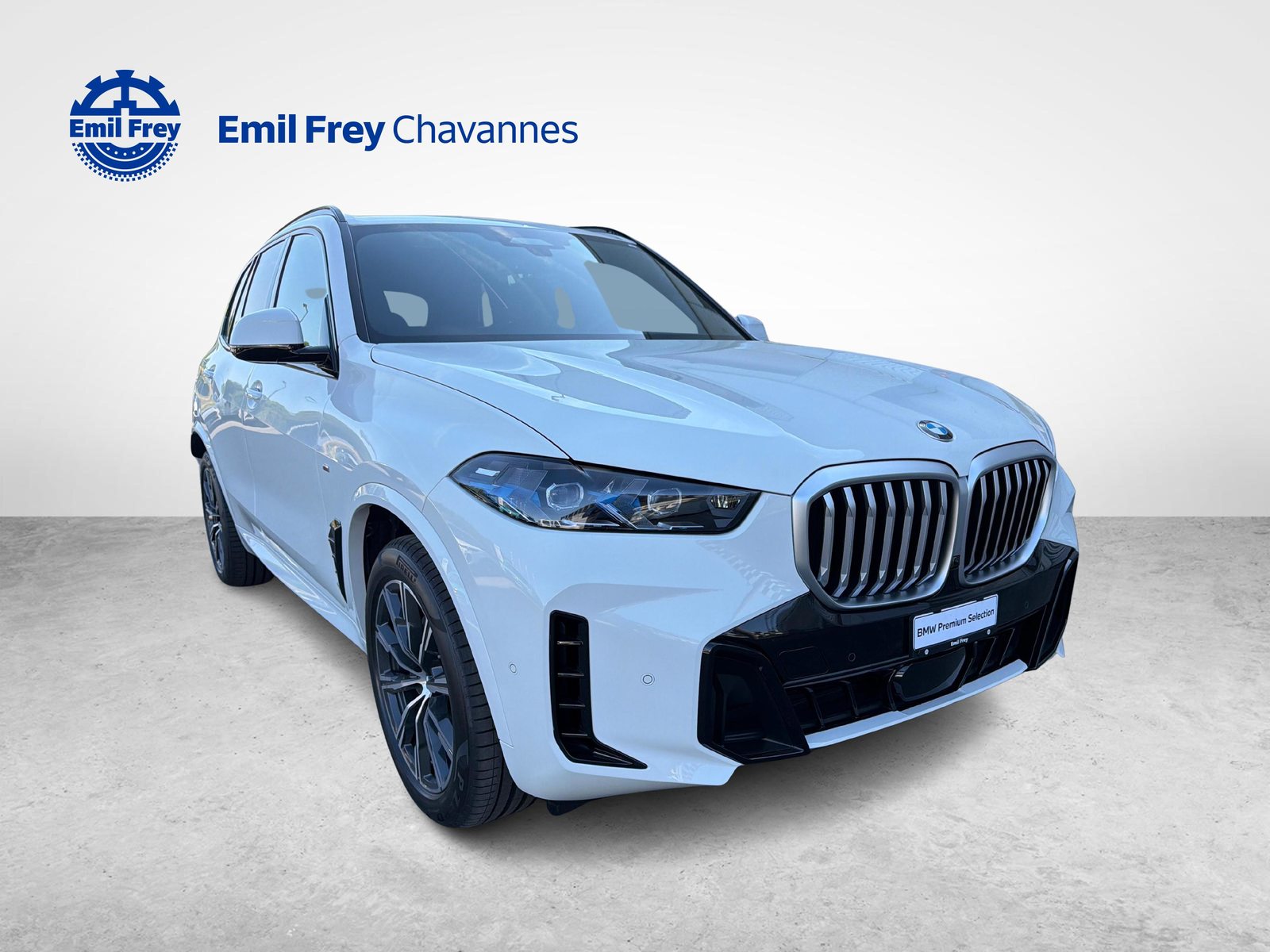Brugt Bmw X5 