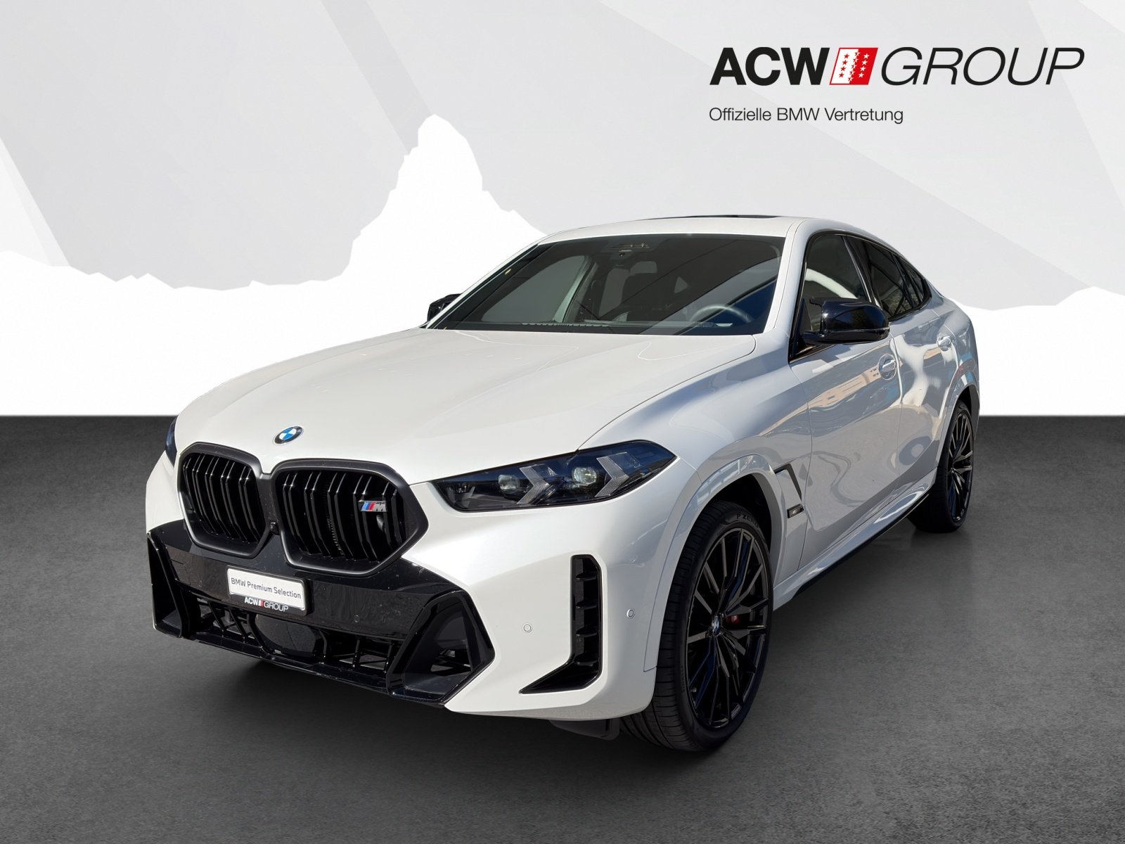 Brukt Bmw X6 M60i