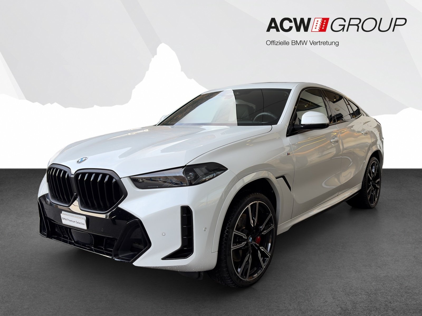 Brukt Bmw X6 