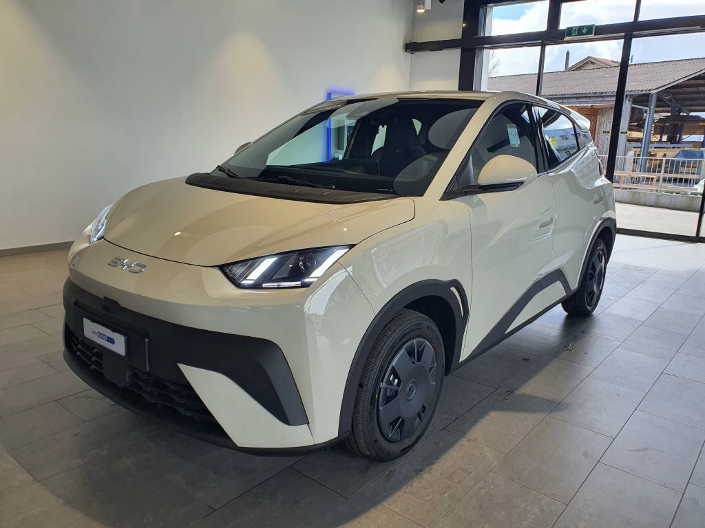 BYD Dolphin Surf Active