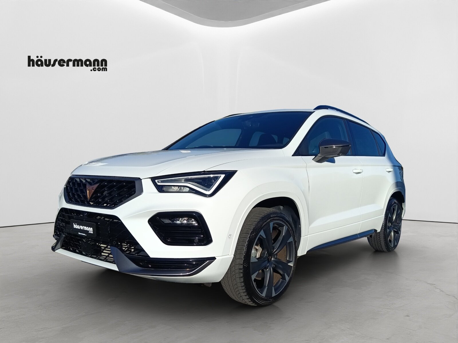2024 Cupra Other