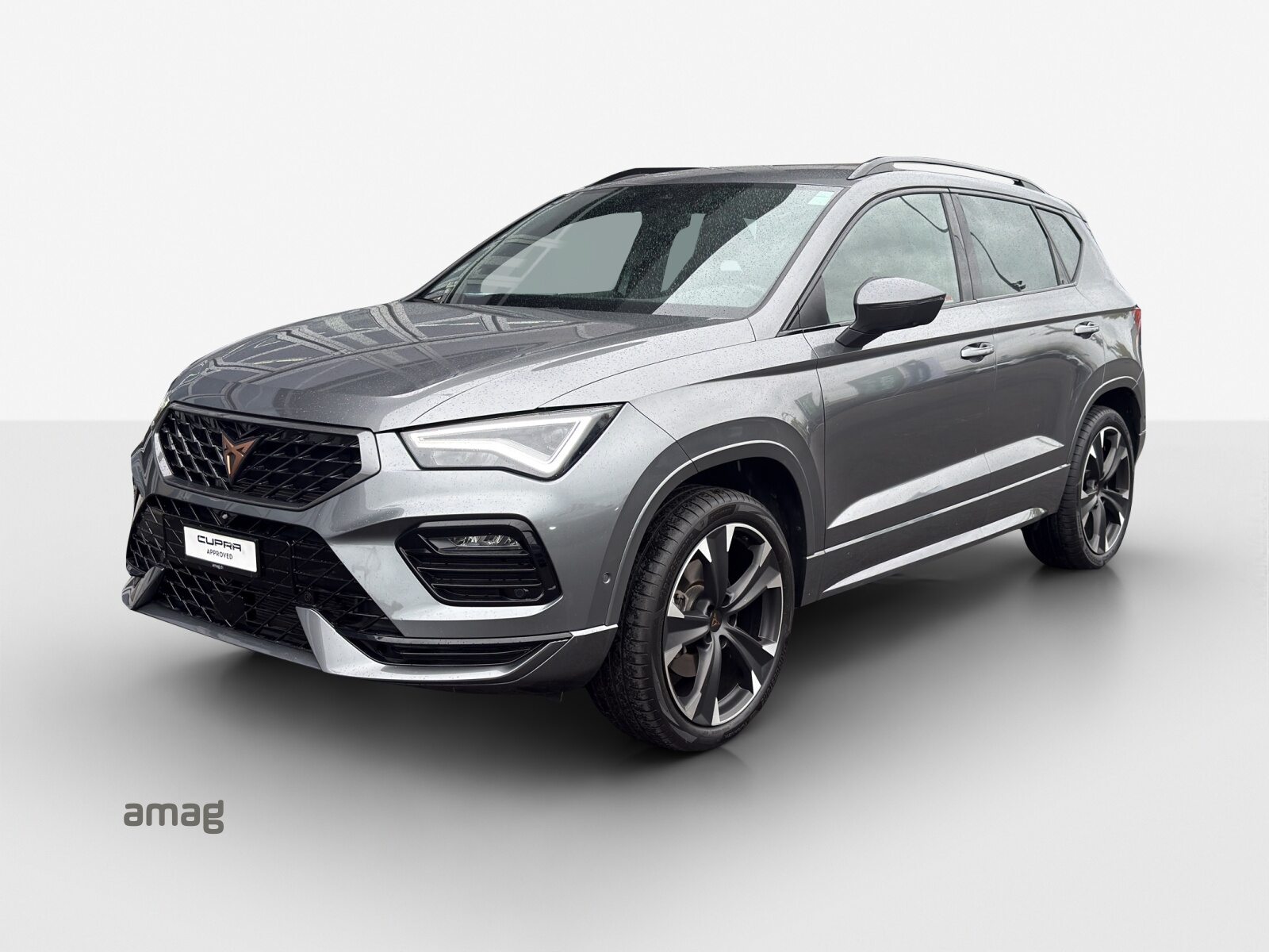 2025 Cupra Other