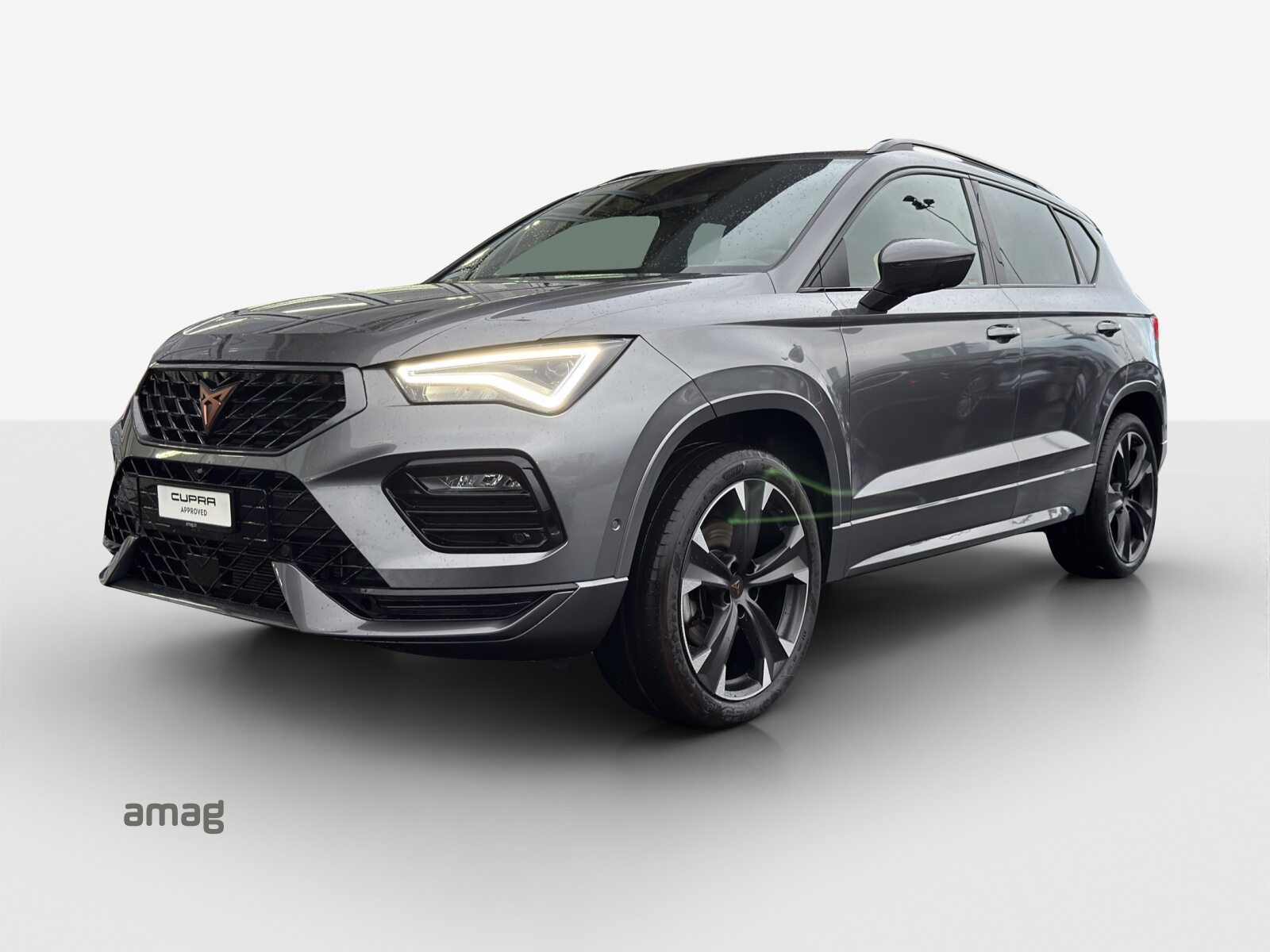 2025 Cupra Other