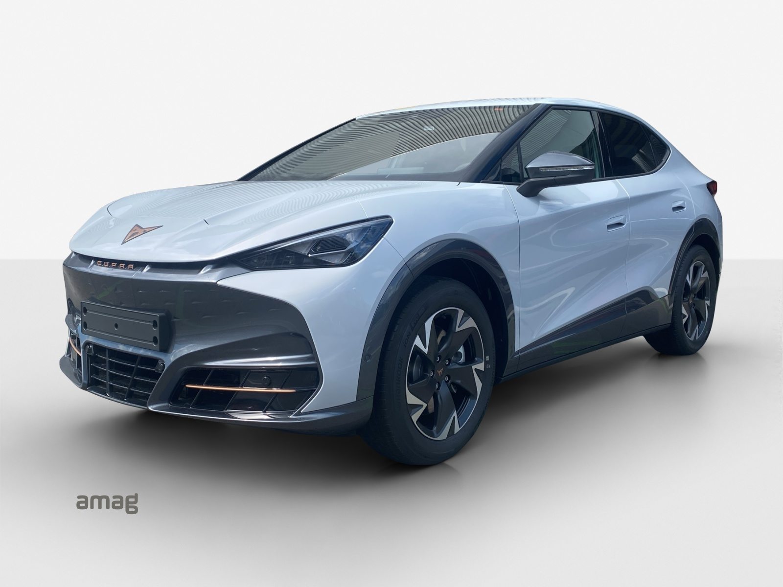 Brugt Cupra Tavascan electro