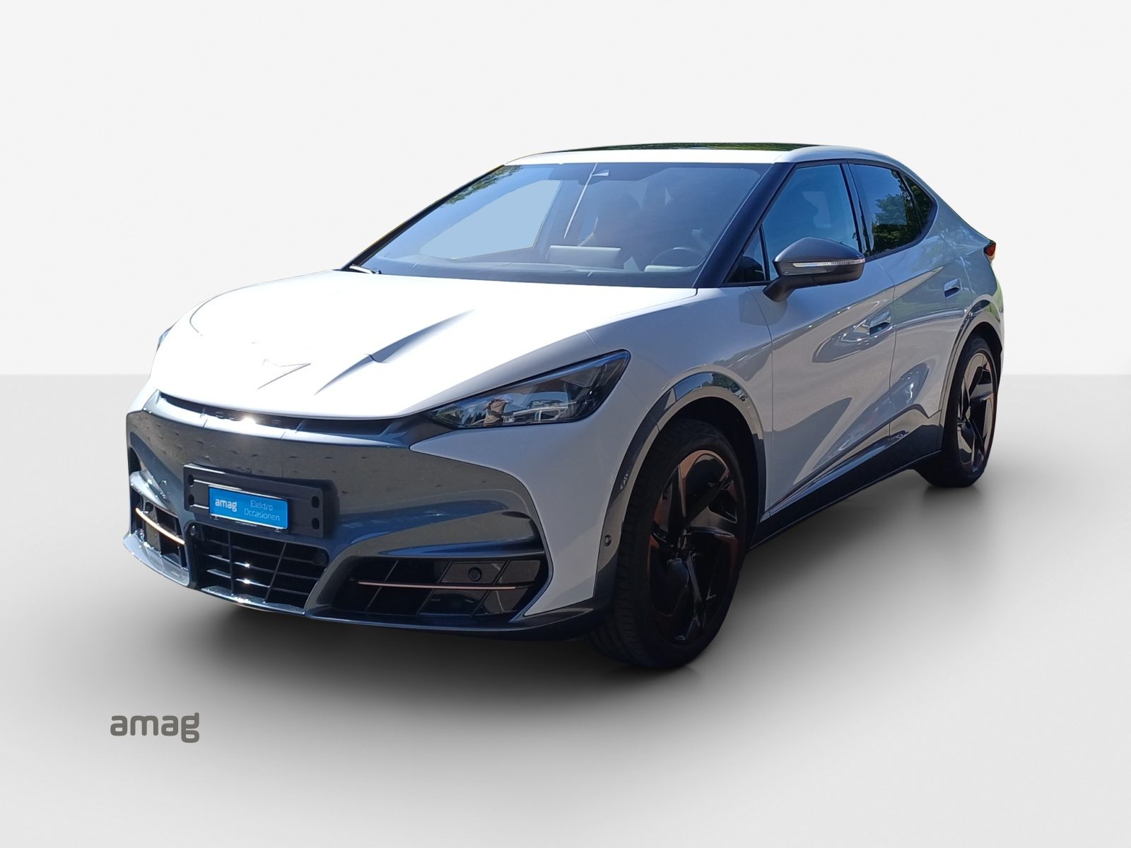 Brugt Cupra Tavascan electro