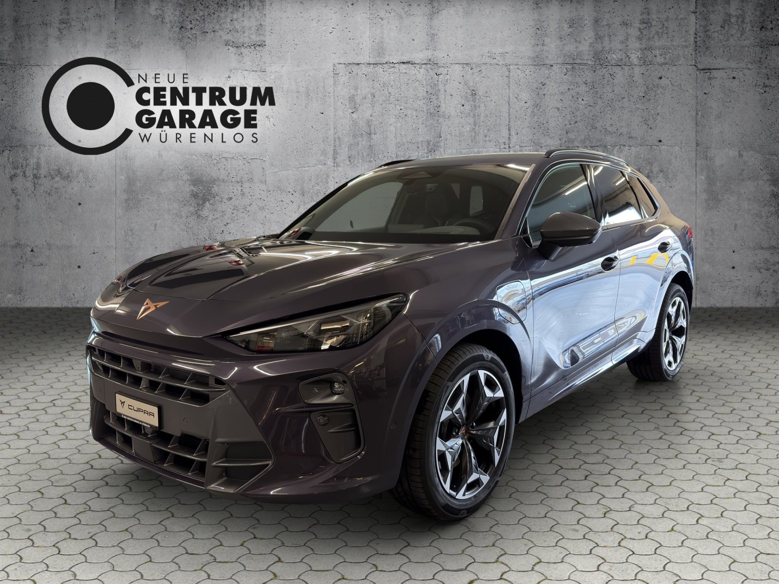 Brukt Cupra Terramar 