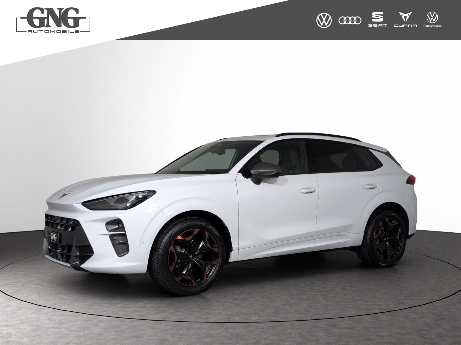 Brukt Cupra Terramar 