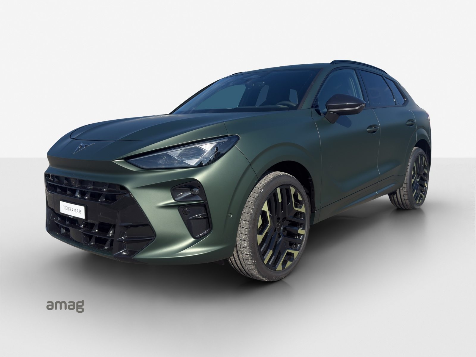 Brukt Cupra Terramar 