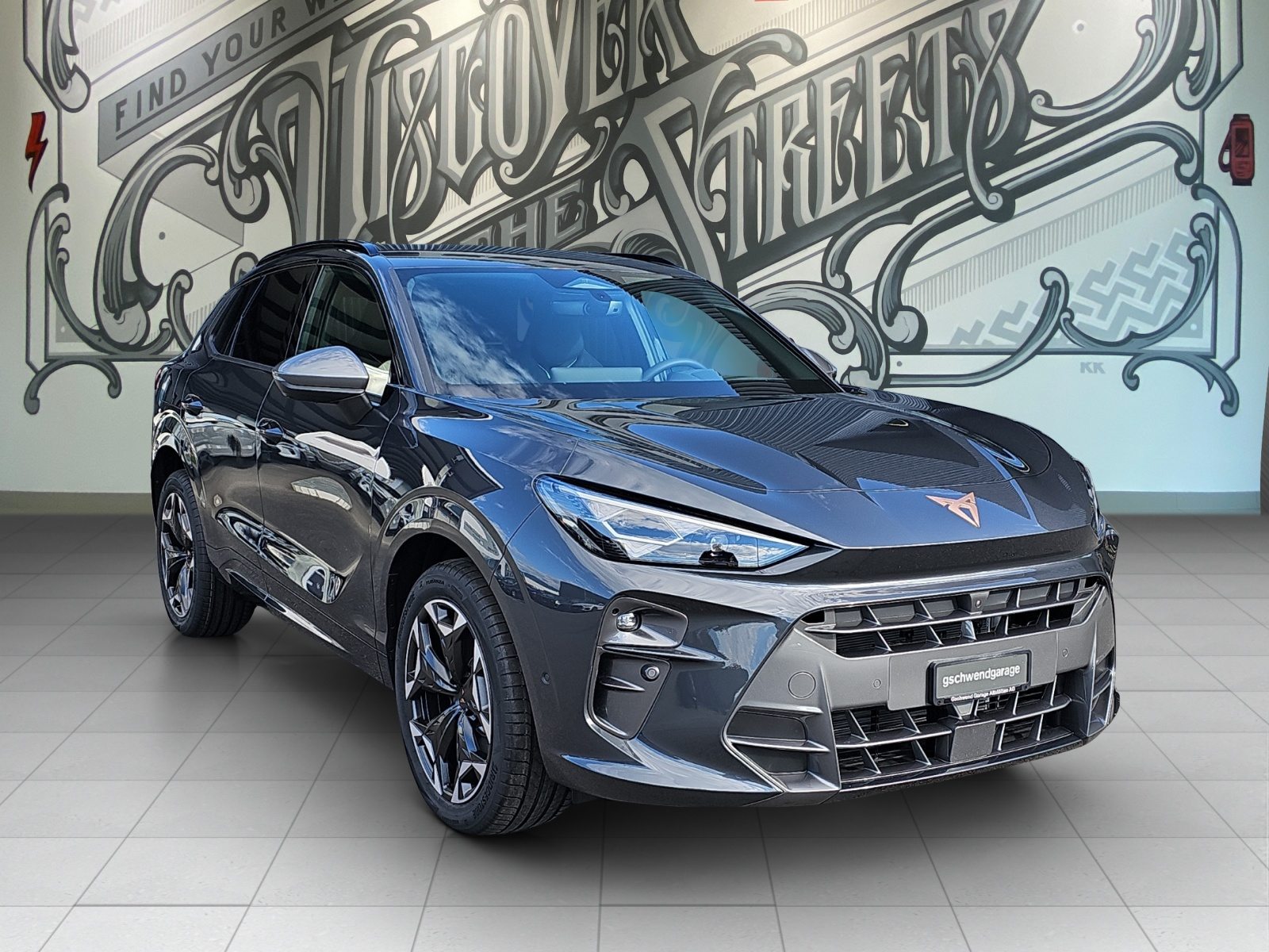 Brukt Cupra Terramar 