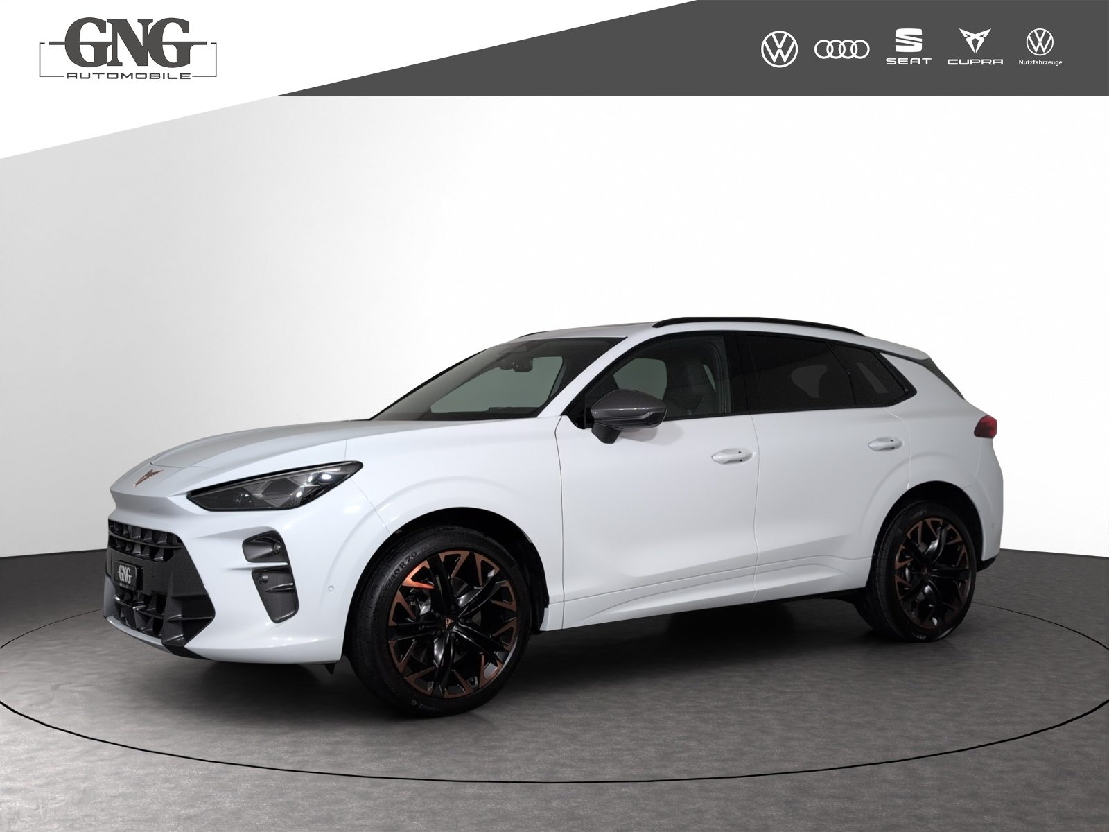 Brukt Cupra Terramar 