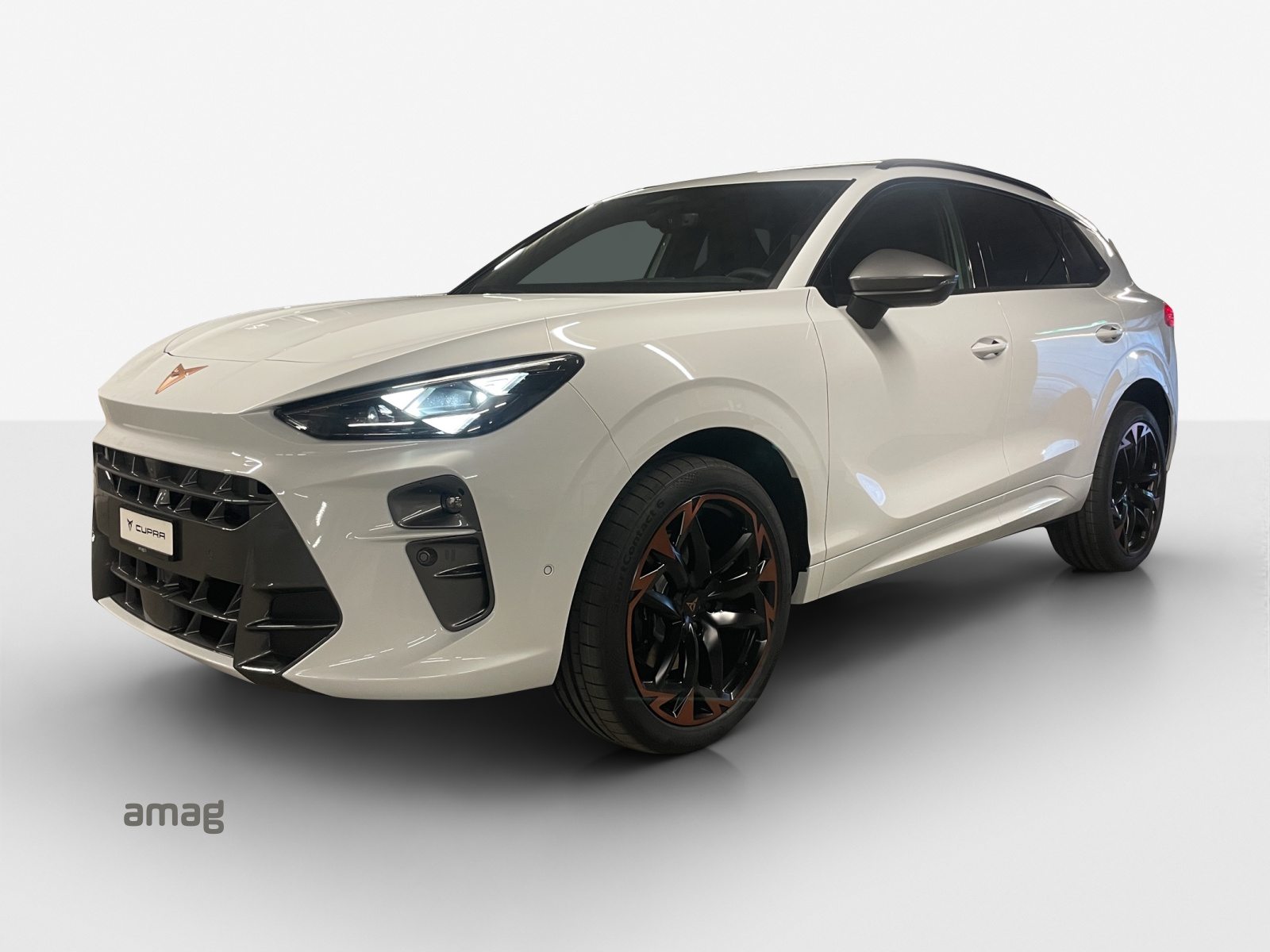 Brukt Cupra Terramar 