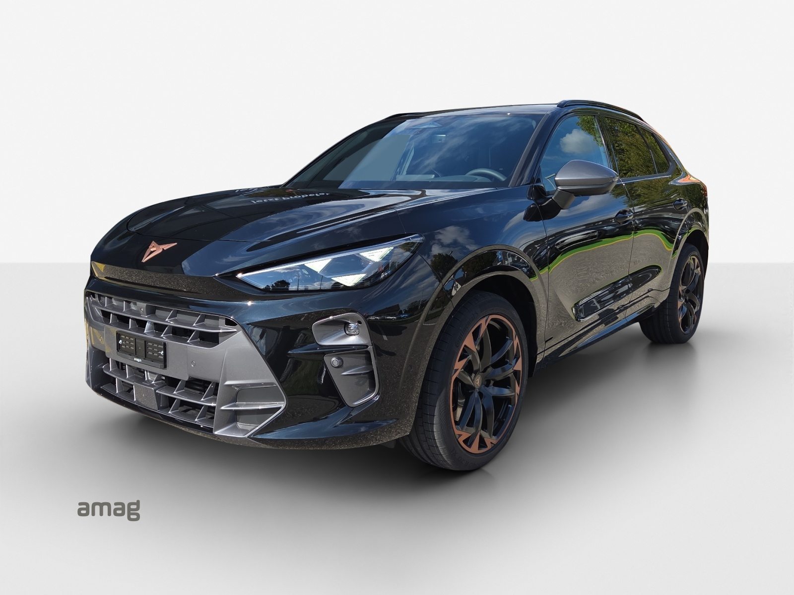 Brukt Cupra Terramar 