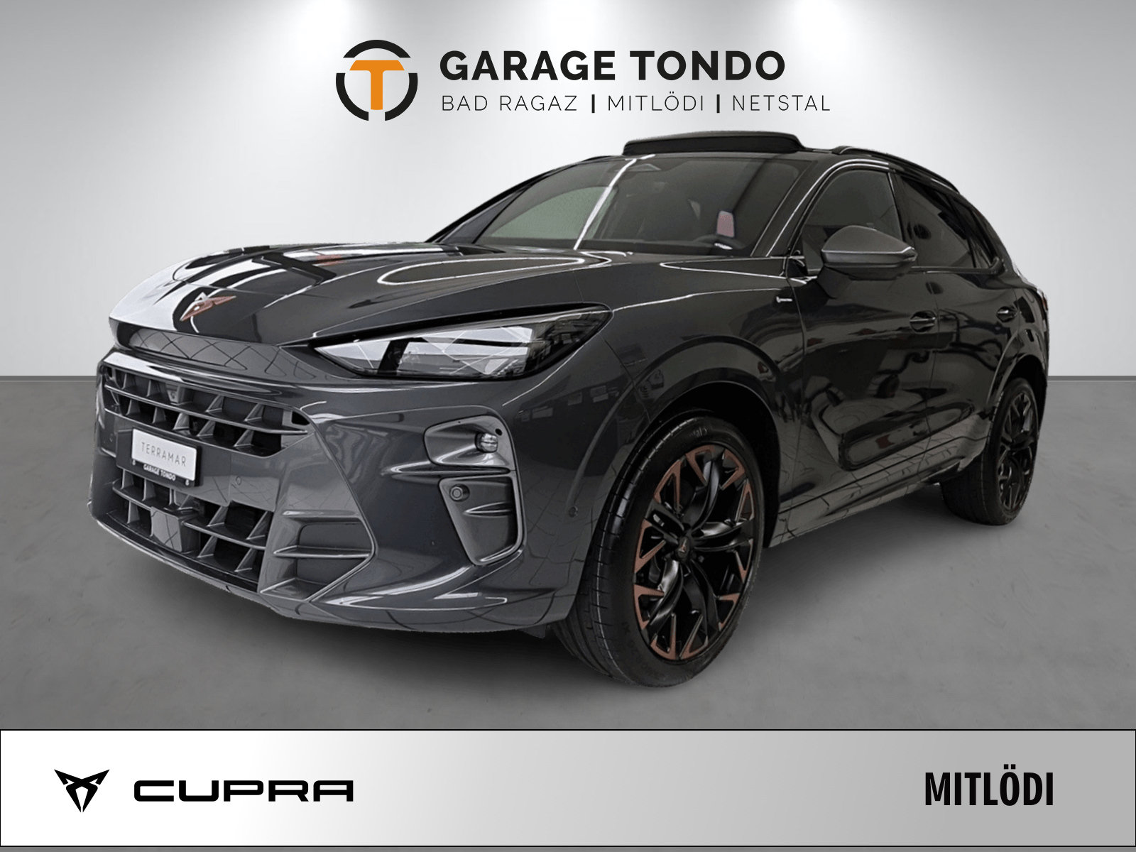 Brukt Cupra Terramar 