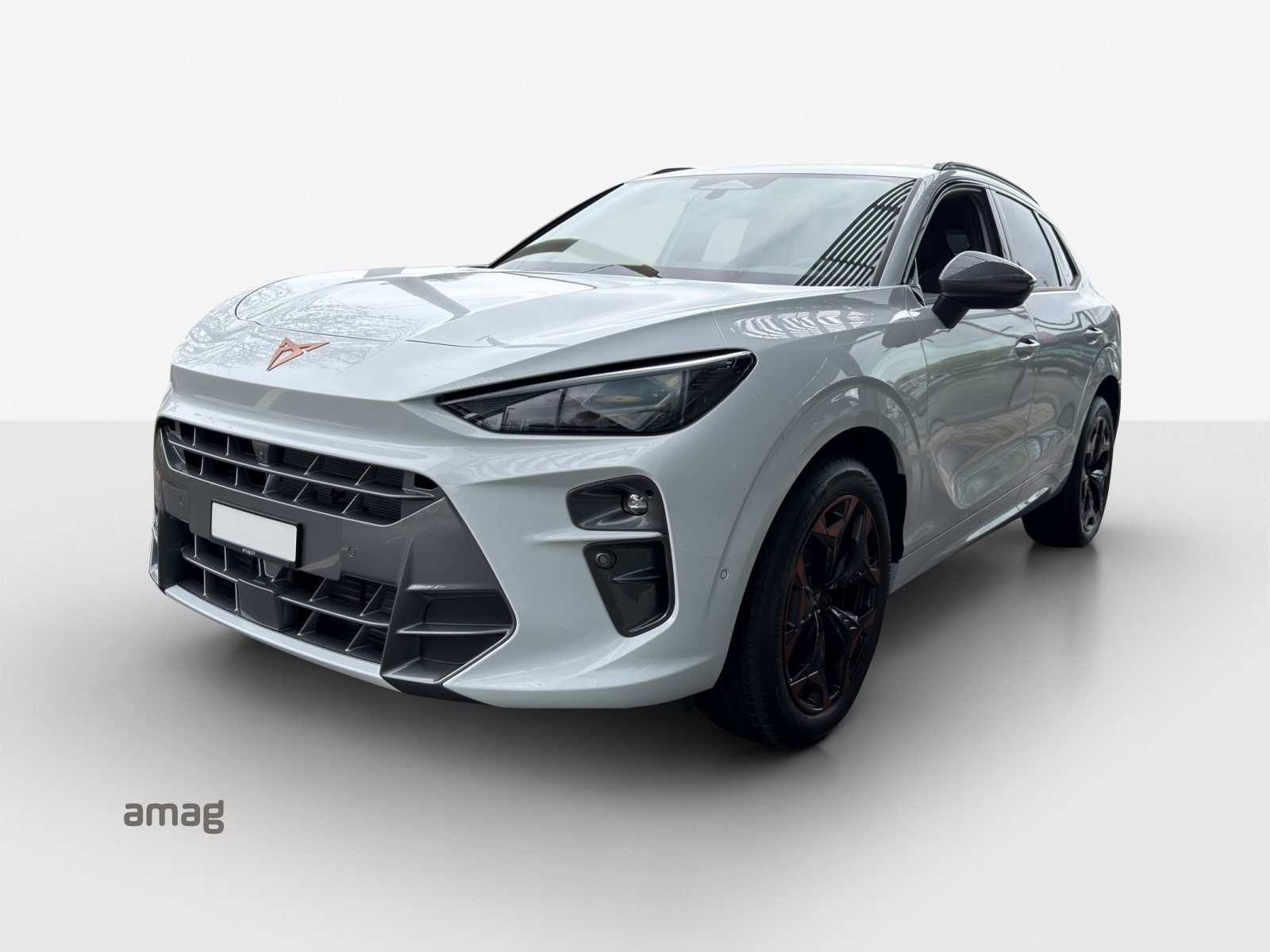 Brukt Cupra Terramar 