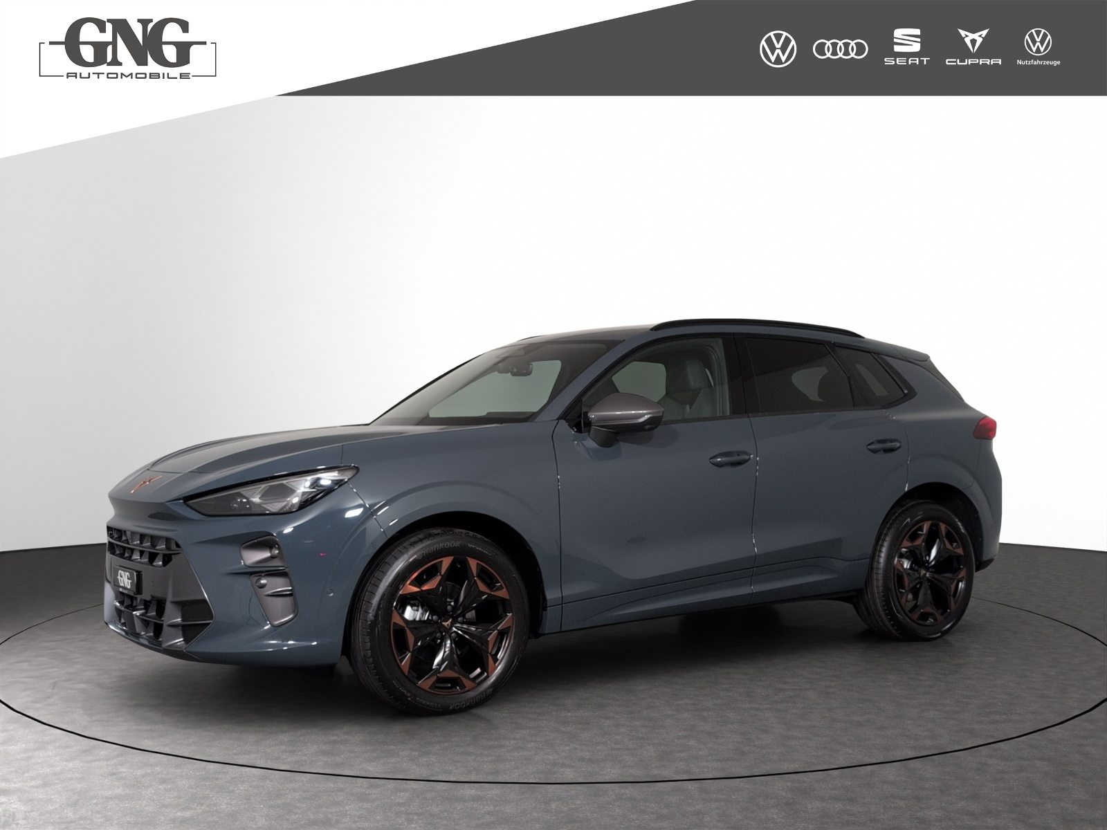 Brukt Cupra Terramar 