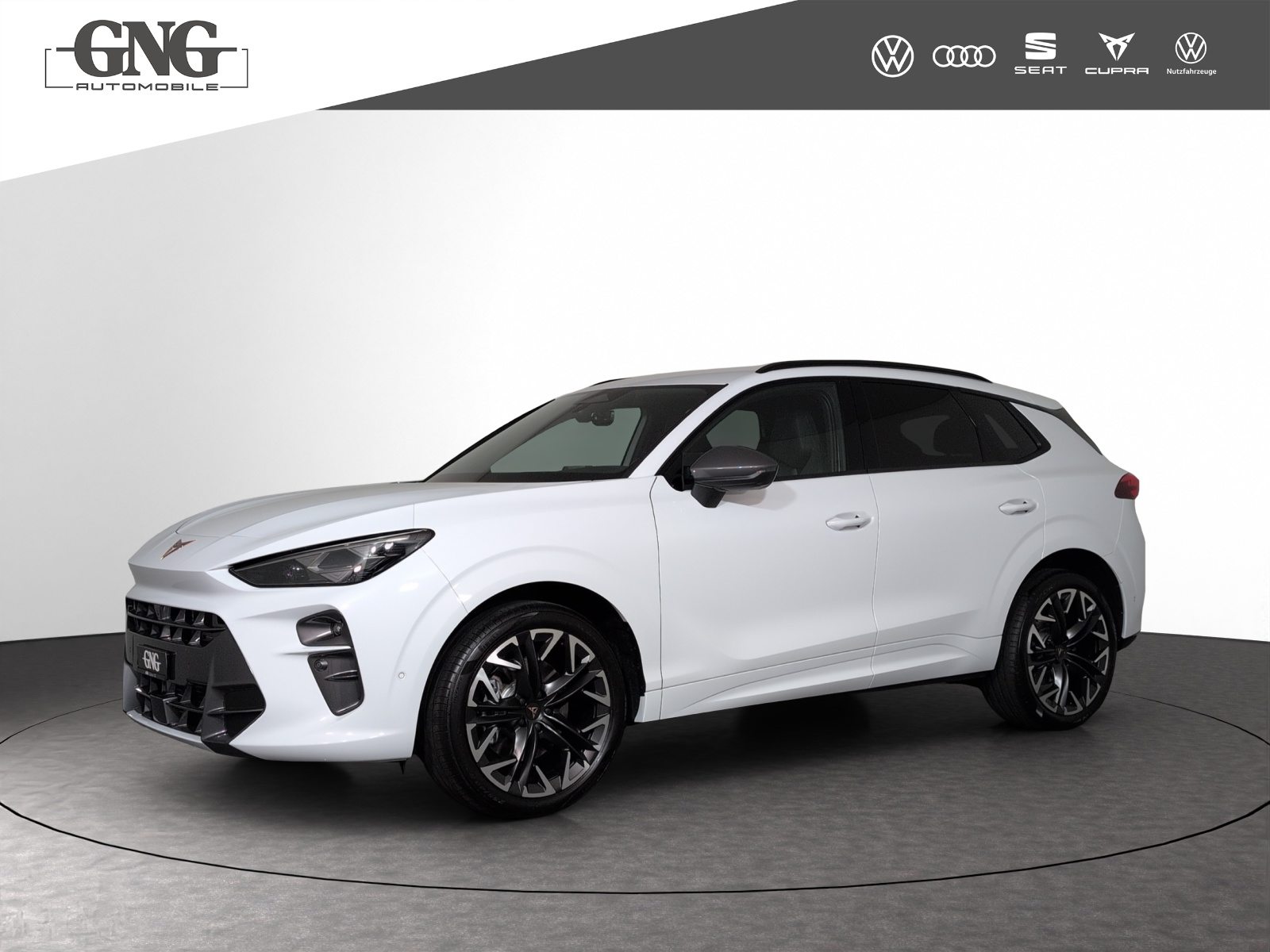 Brukt Cupra Terramar 