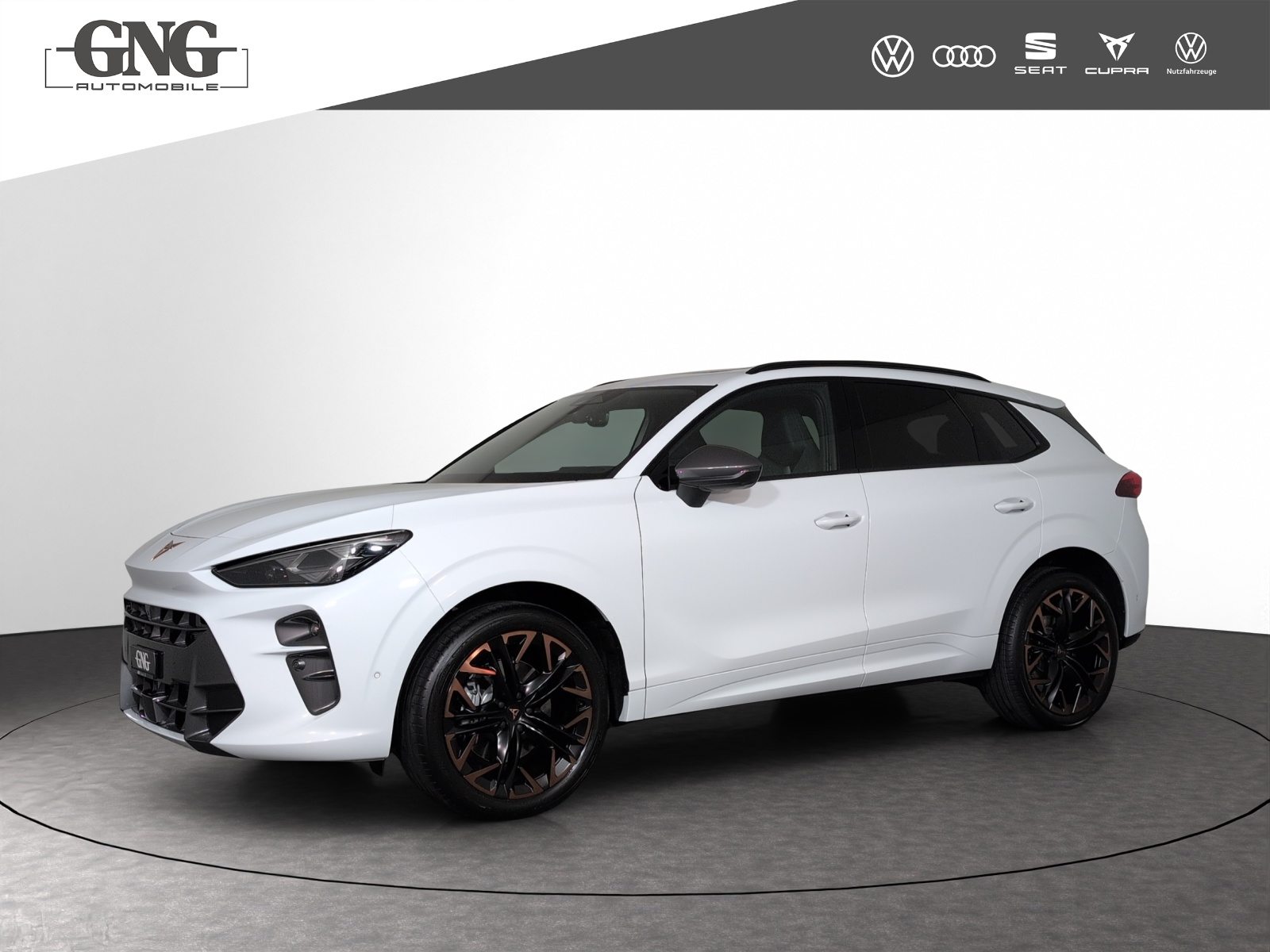 Brukt Cupra Terramar 