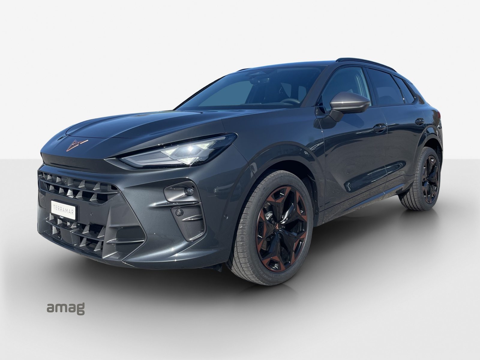 Brukt Cupra Terramar 