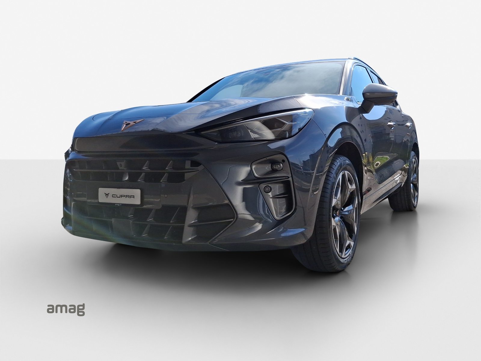 Brukt Cupra Terramar 