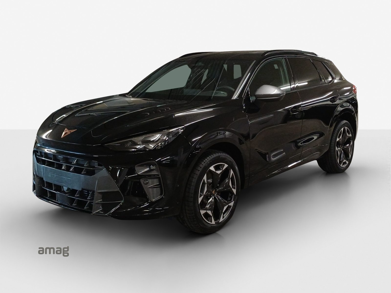 Brukt Cupra Terramar 