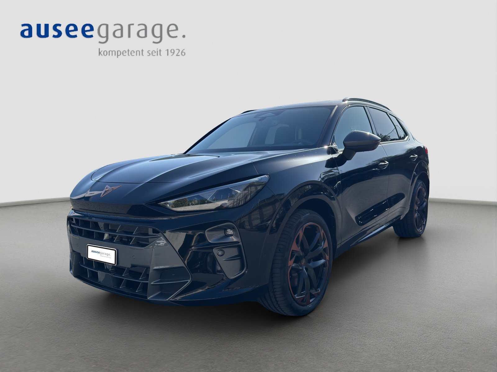 Brukt Cupra Terramar 