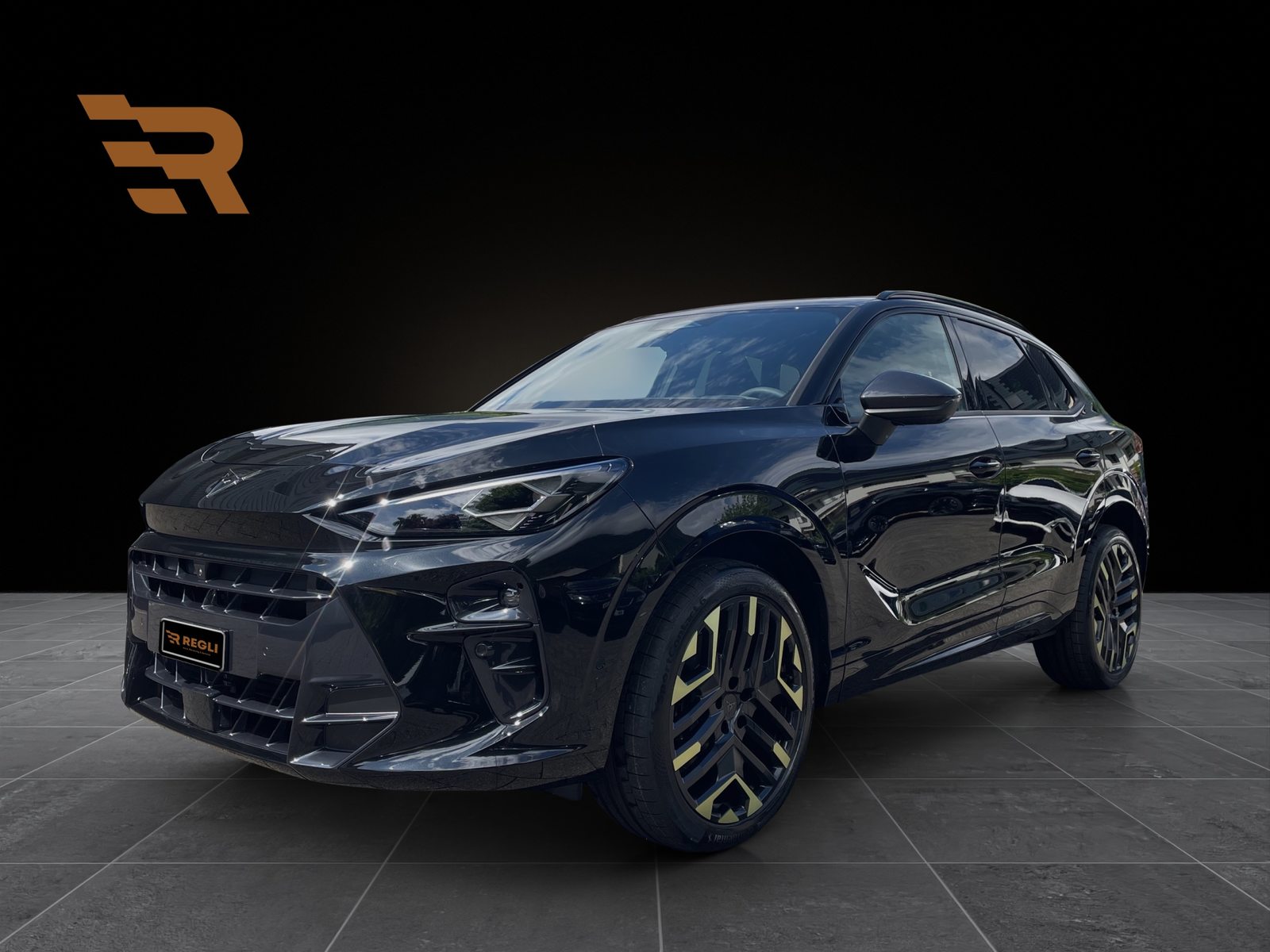 Brukt Cupra Terramar 