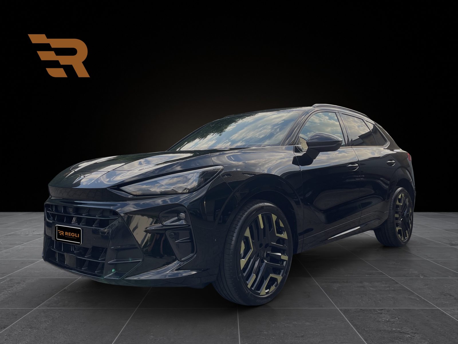 Brukt Cupra Terramar 