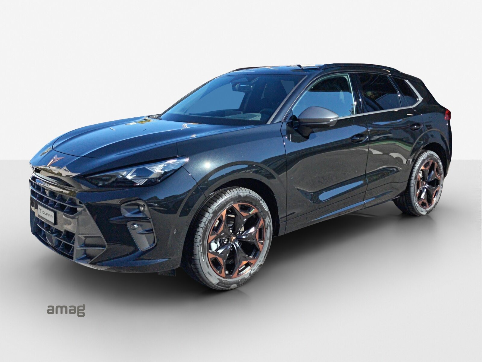 2026 Cupra Other