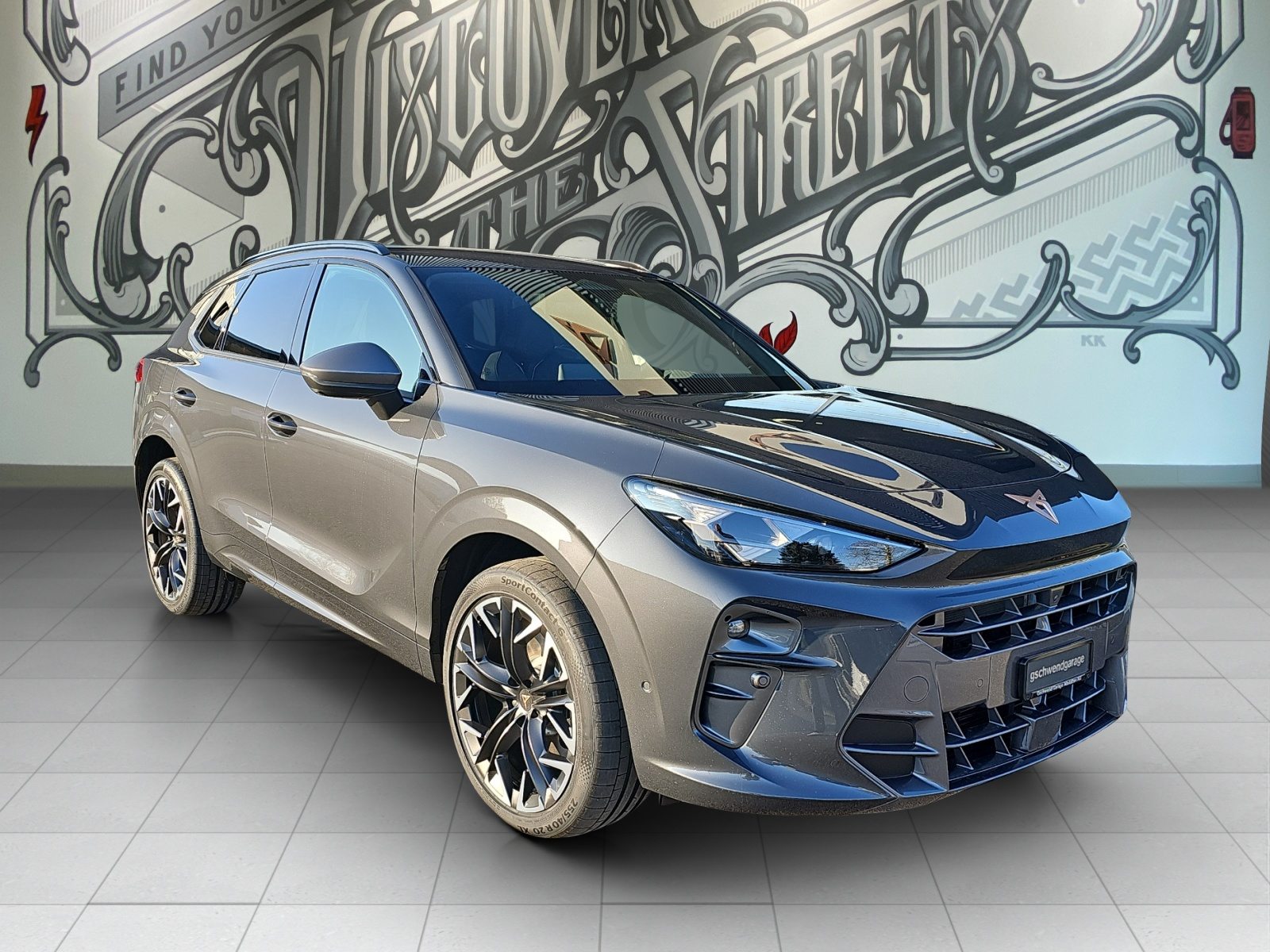 Brukt Cupra Terramar 