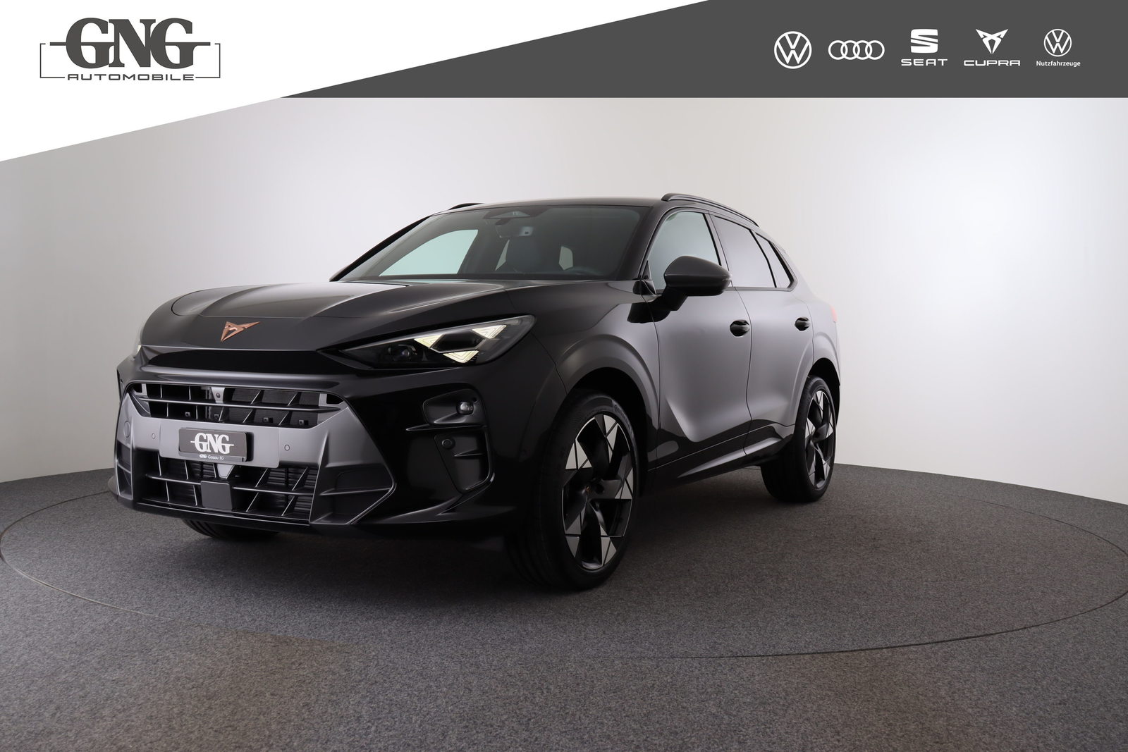 Brukt Cupra Terramar 