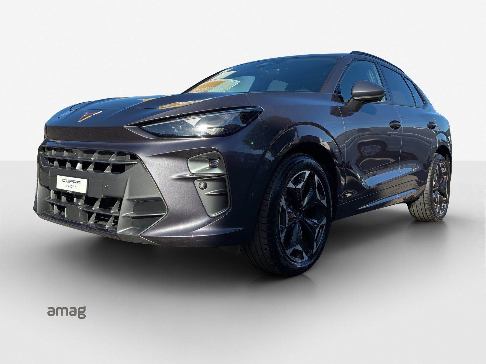 Brukt Cupra Terramar 