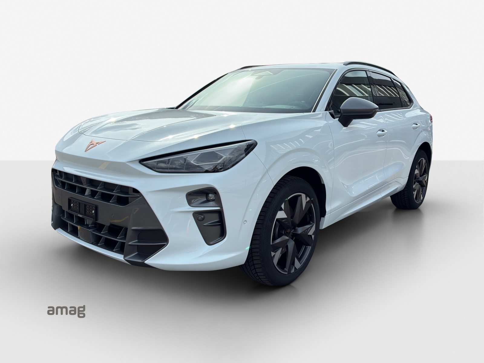 Brukt Cupra Terramar 