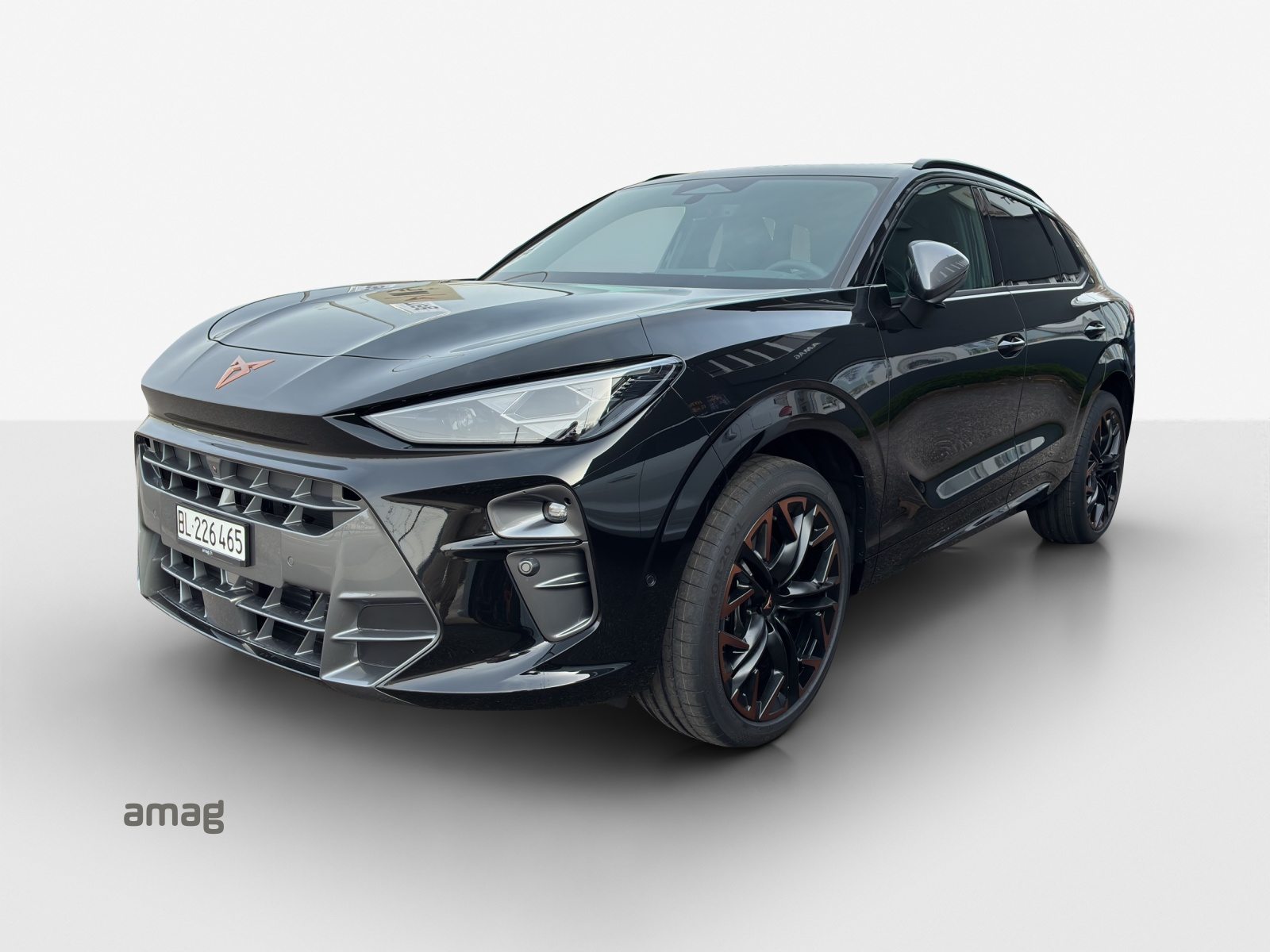 Brukt Cupra Terramar 