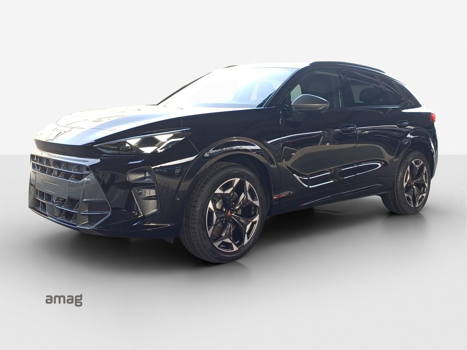 Brukt Cupra Terramar 