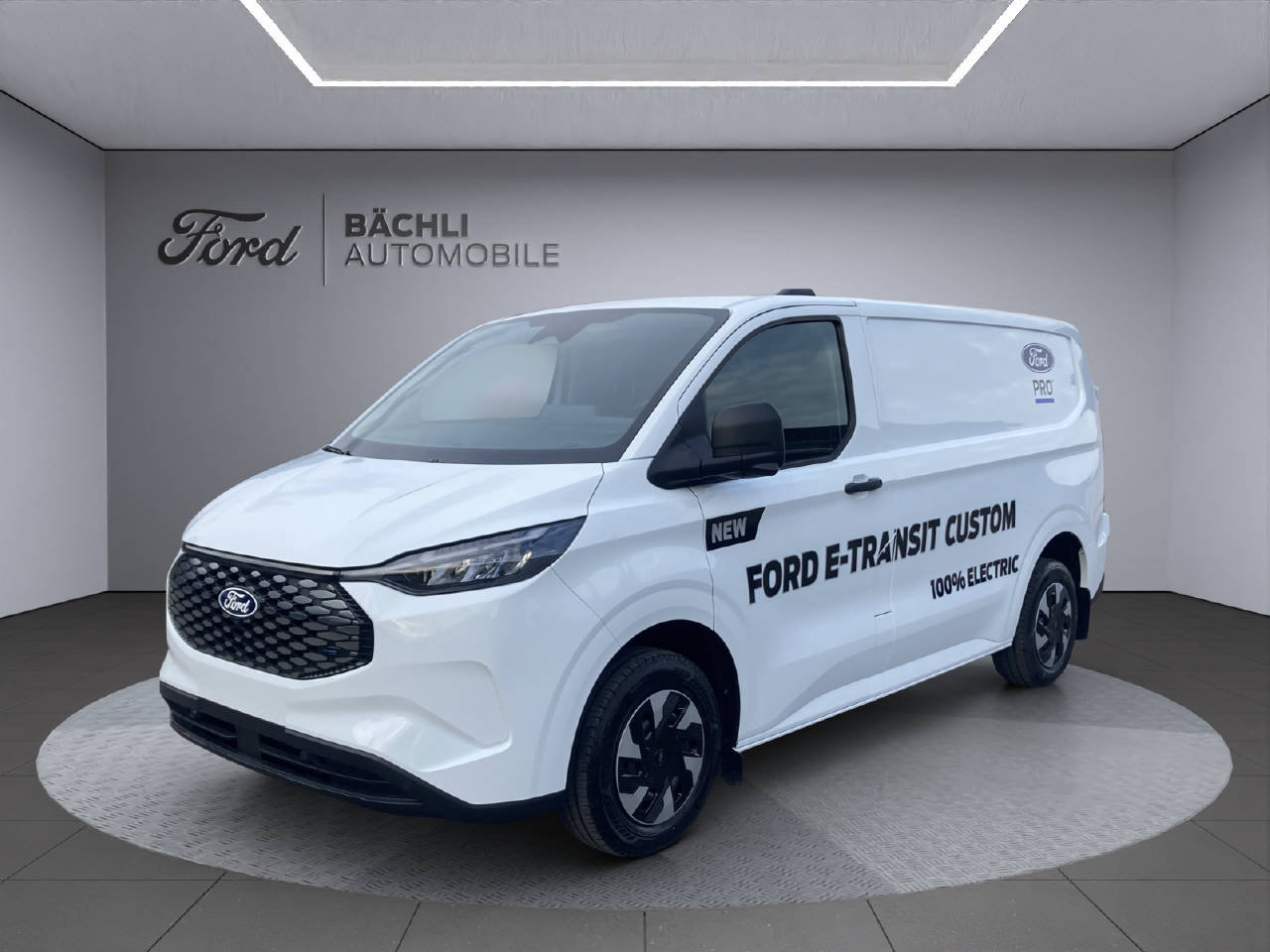 Brukt Ford Custom 