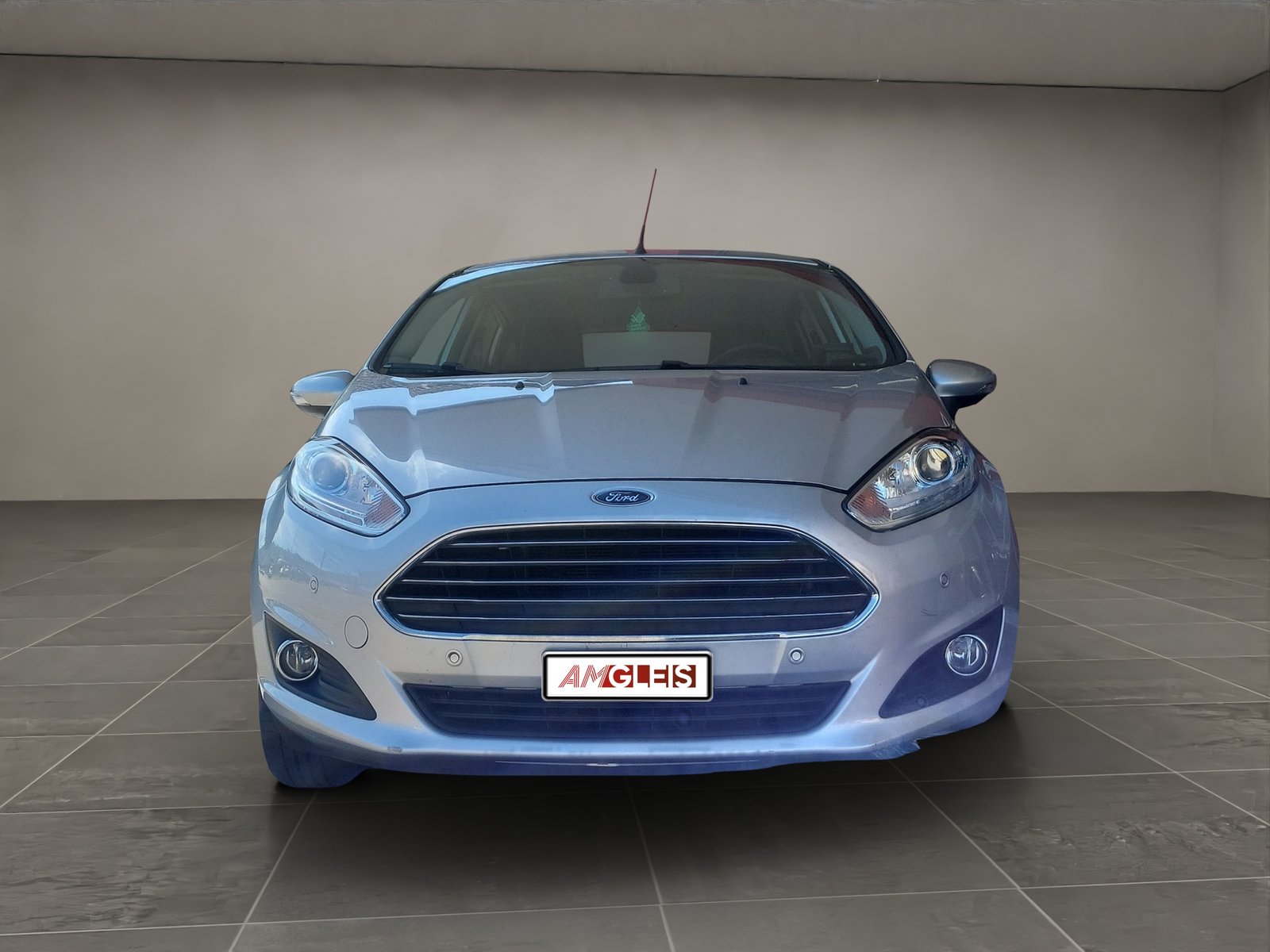 Brugt Ford Fiesta 