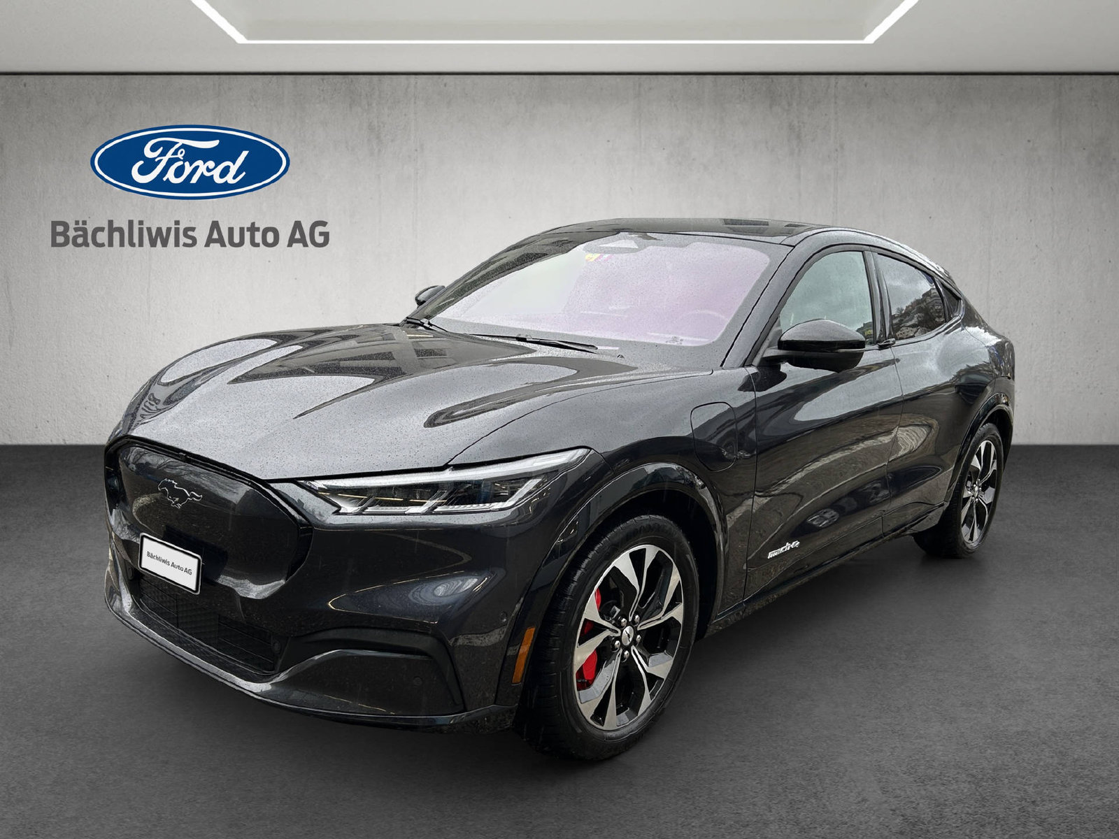 Brukt Ford Mustang Mach-E 