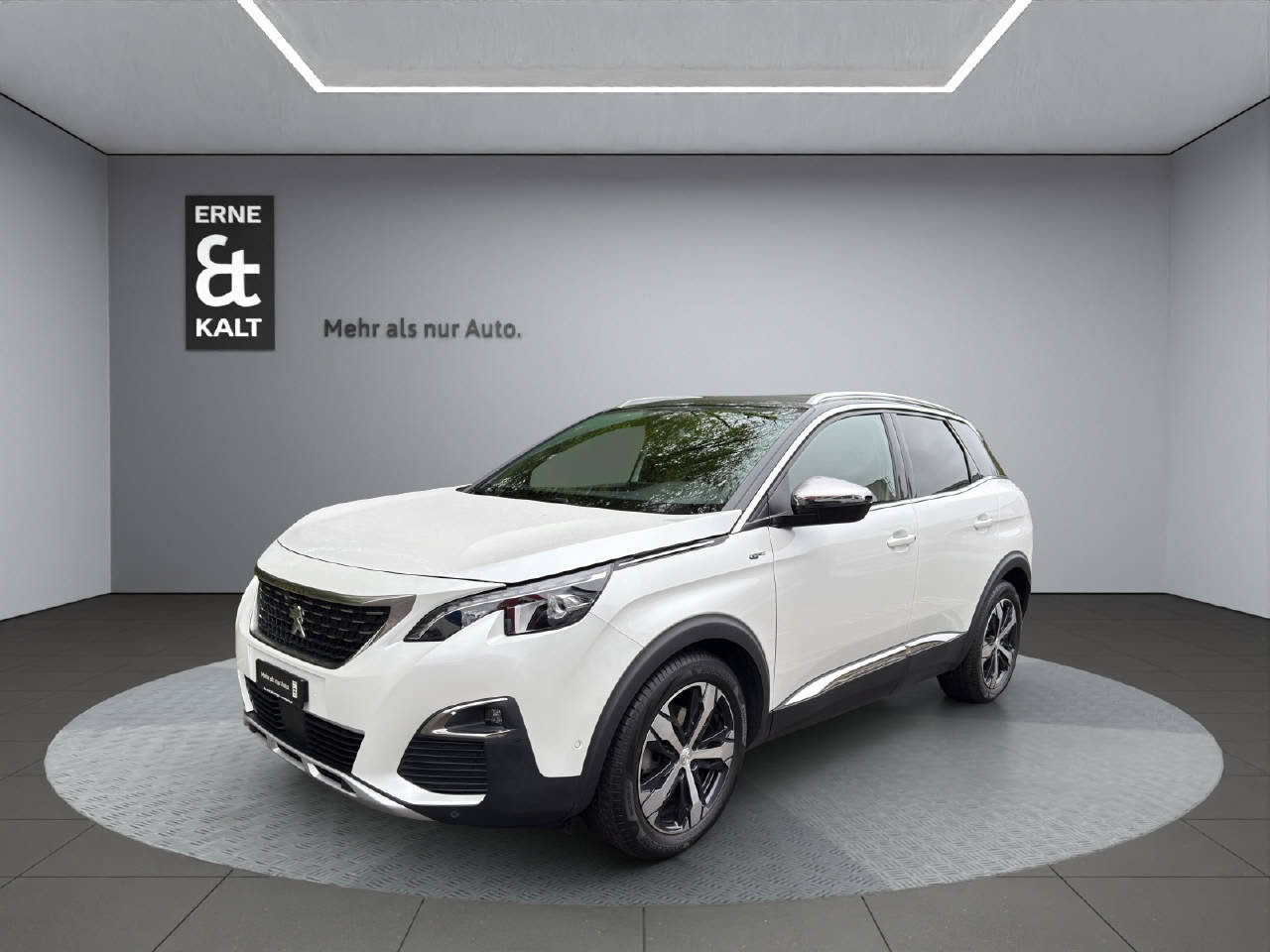 Brugt Peugeot 3008 