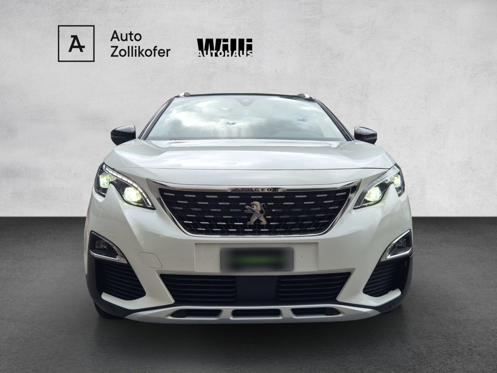 Brugt Peugeot 3008 