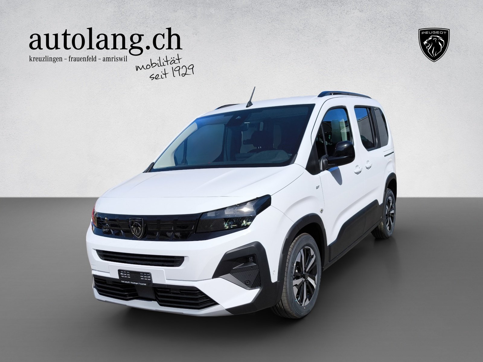 Brukt Peugeot Riffter 