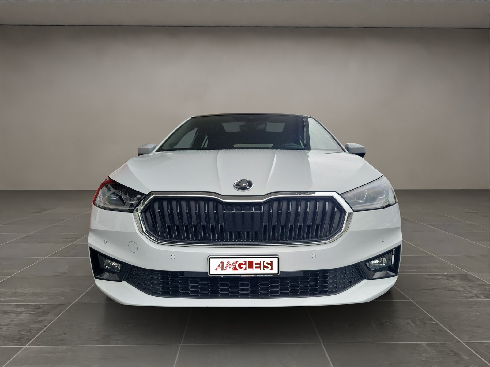 Brugt Škoda Fabia 1.0 tsi