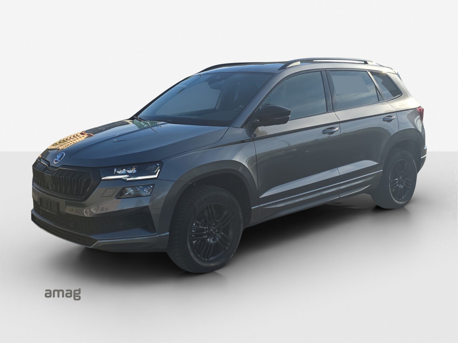 Brugt Škoda Karoq 