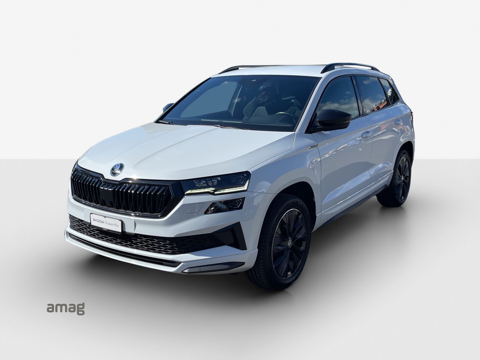 Brugt Škoda Karoq 